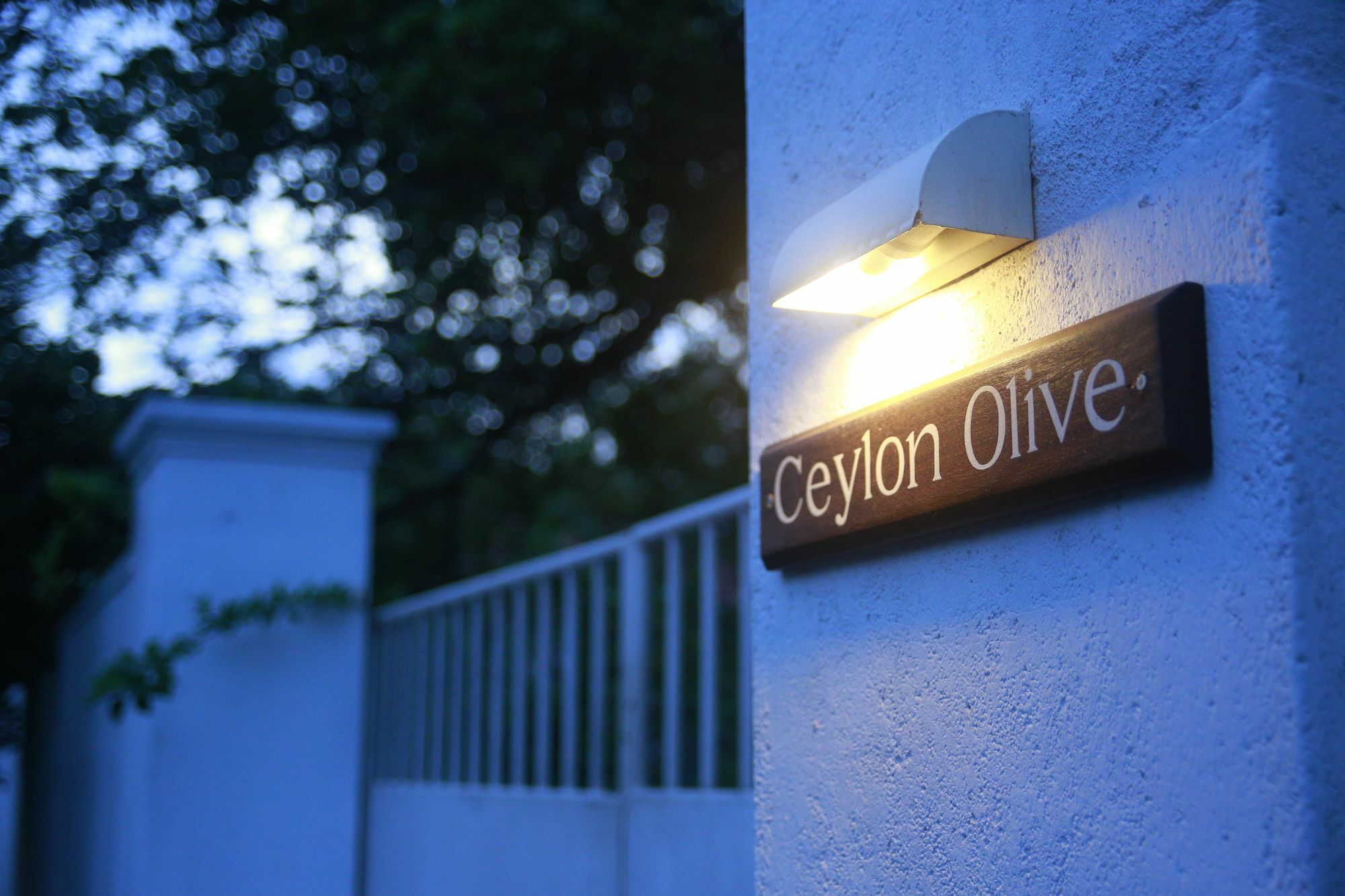 Ceylon Olive Galle Εξωτερικό φωτογραφία
